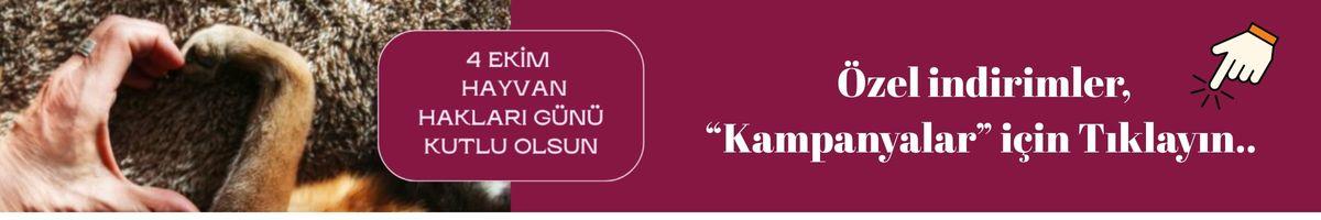 4 ekim hayvanları koruma