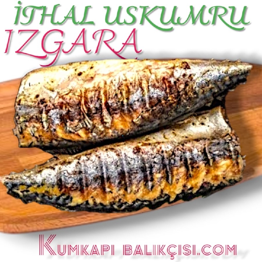 1 ADET  İTHAL USKUMRU IZGARA