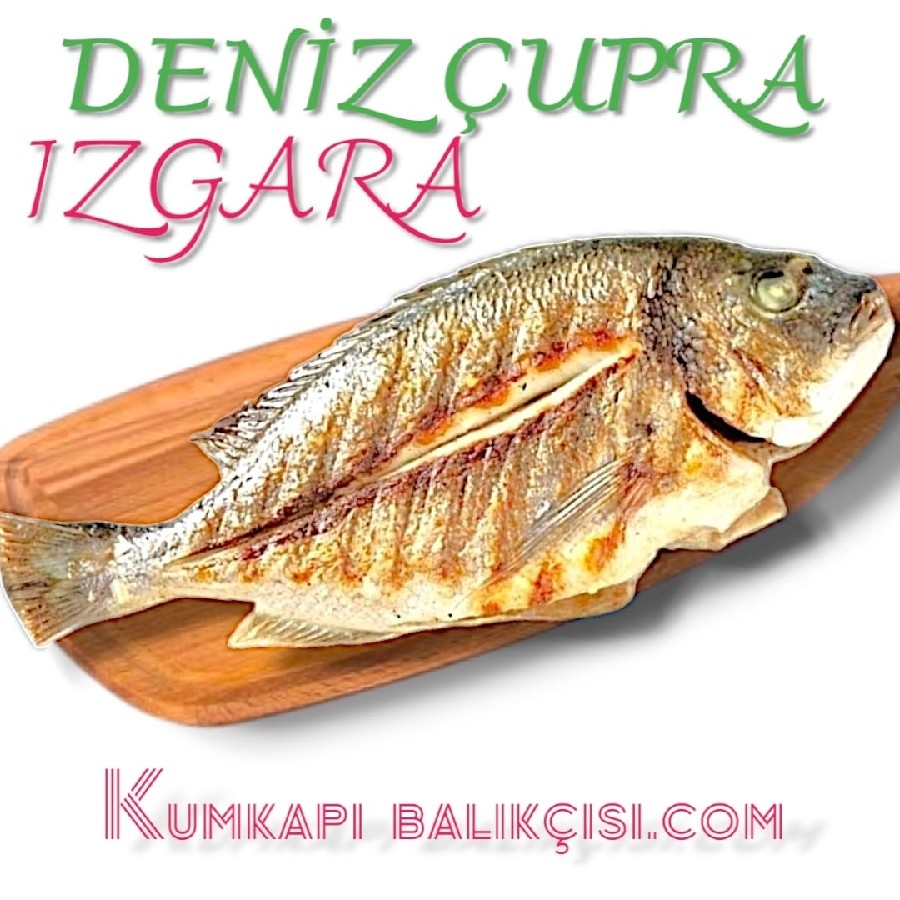 1 ADET DENİZ ÇUPRA IZGARA