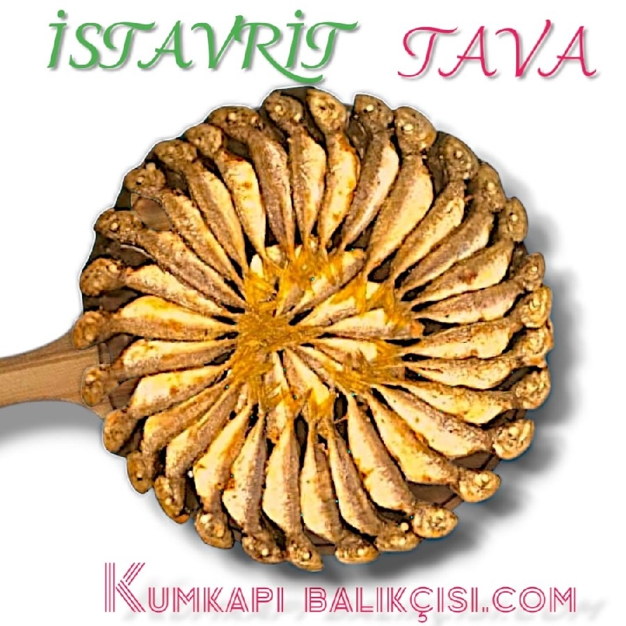 1 KG İSTAVRİT TAVA