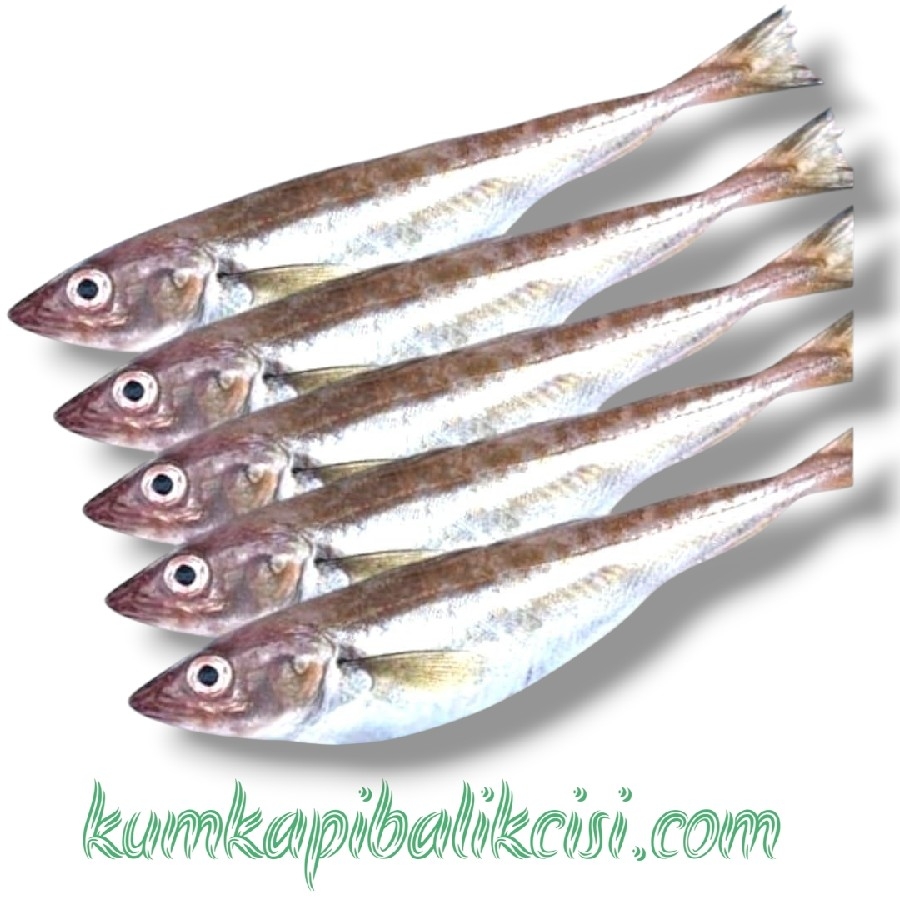1 KG ÇİĞ MEZGİT