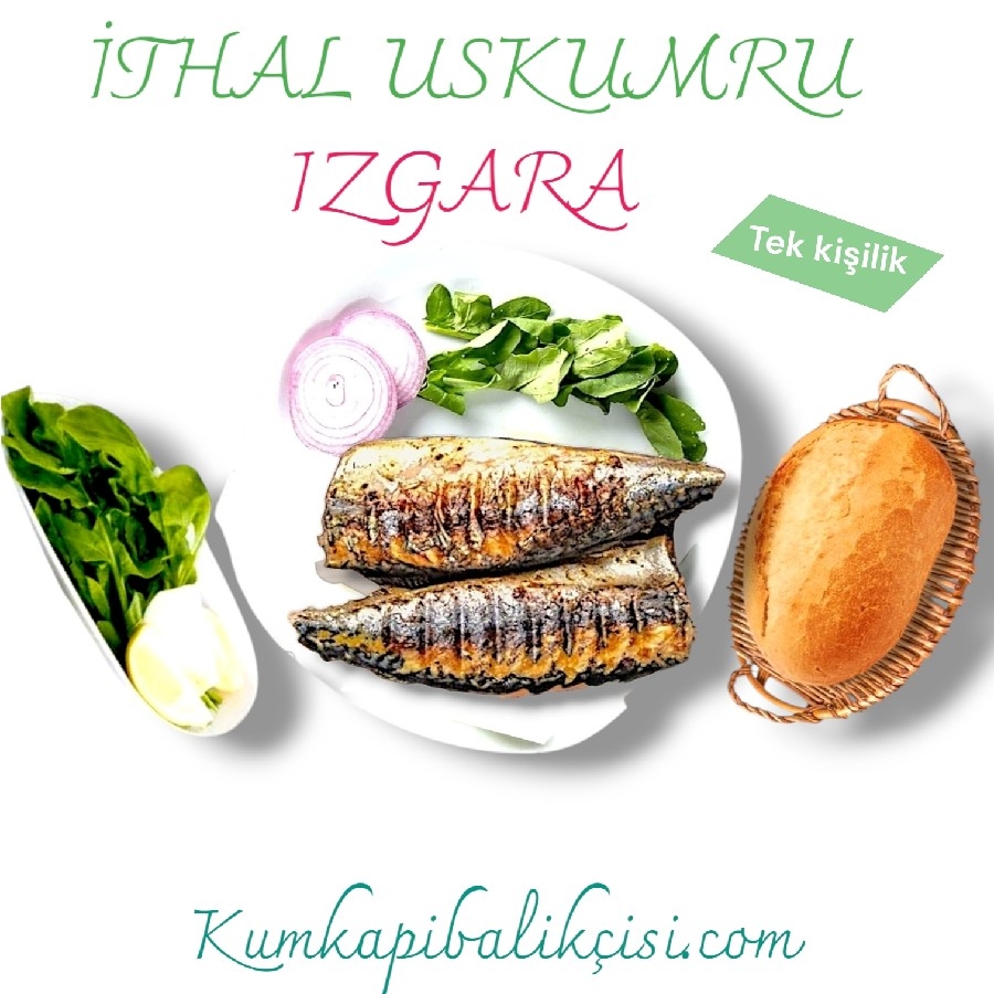 İTHAL USKUMRU IZGARA 1 KİŞİLİK