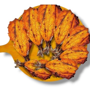 1 KG YERLİ USKUMRU TAVA