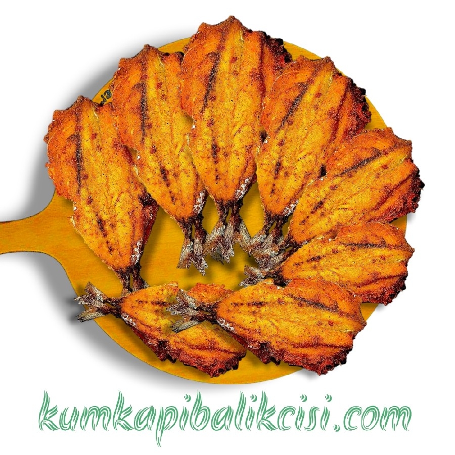 1 KG YERLİ USKUMRU TAVA