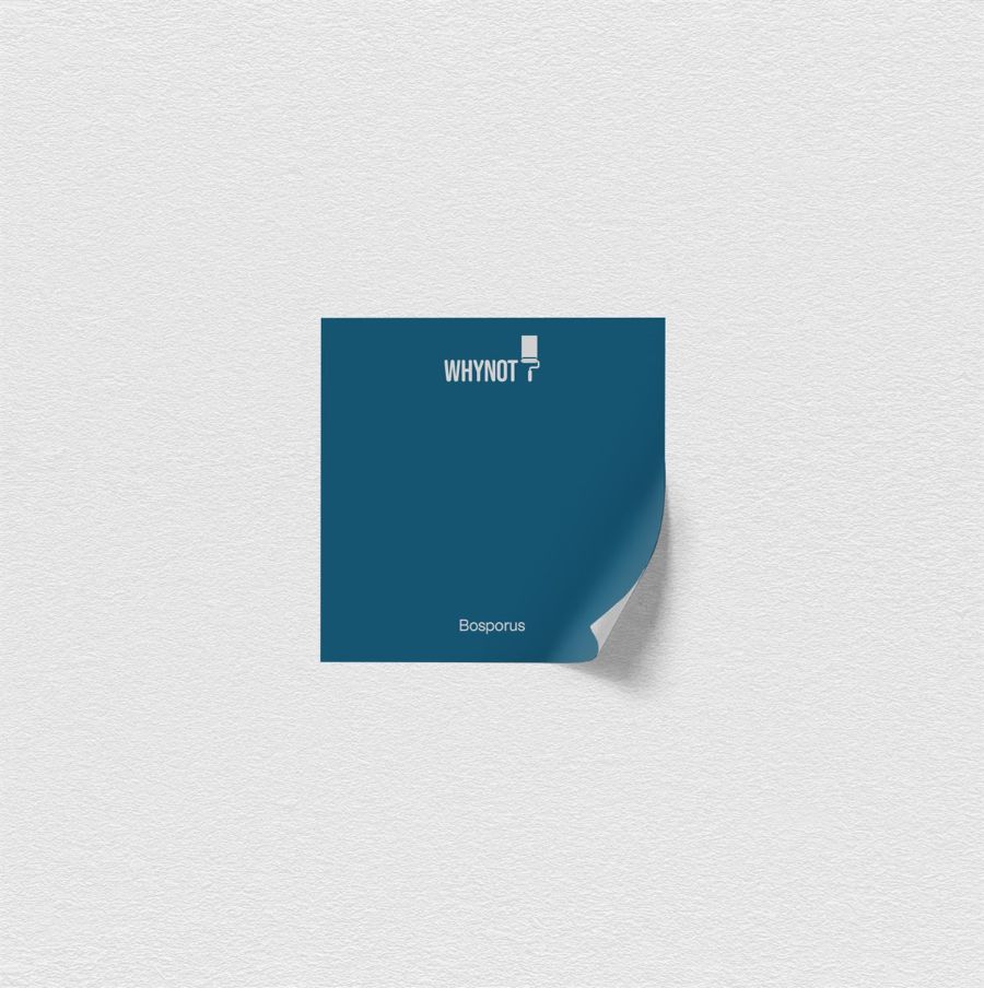 Bosphorus Multisurface 250 ml