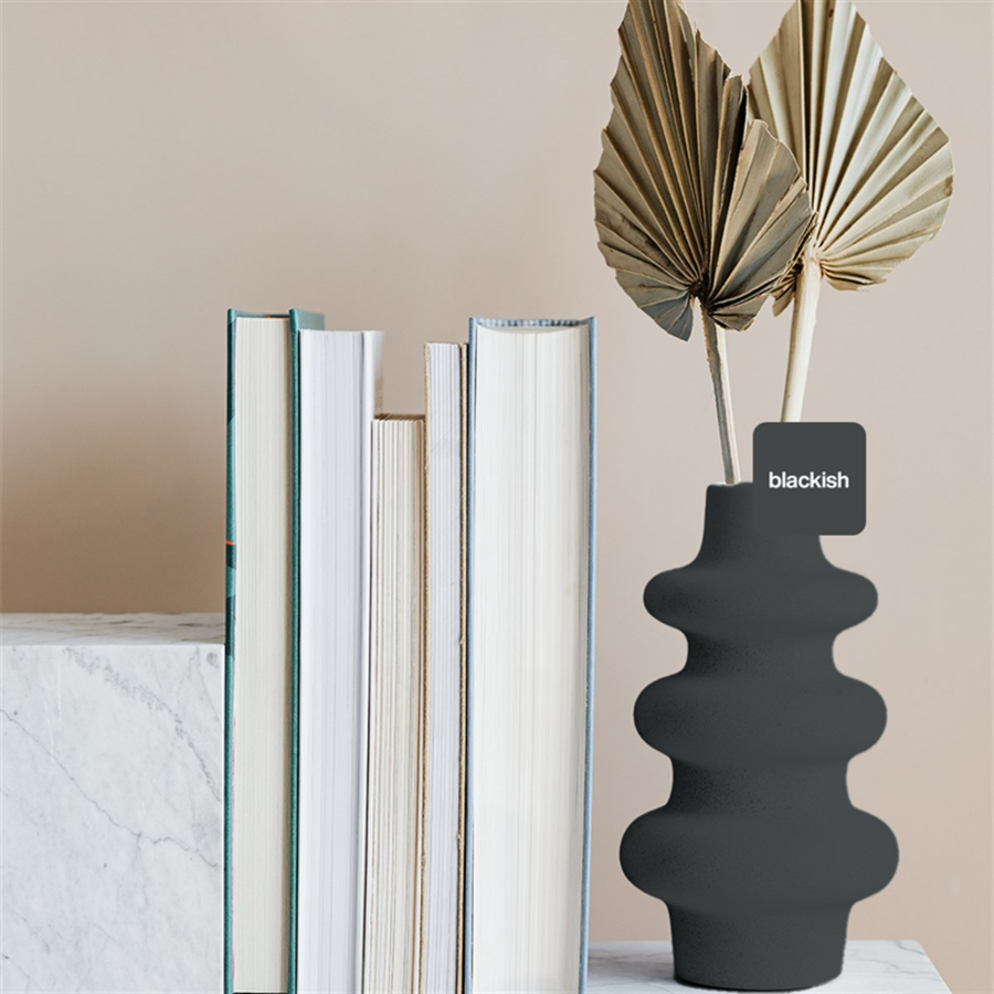 Blackish Multisurface 250 ml