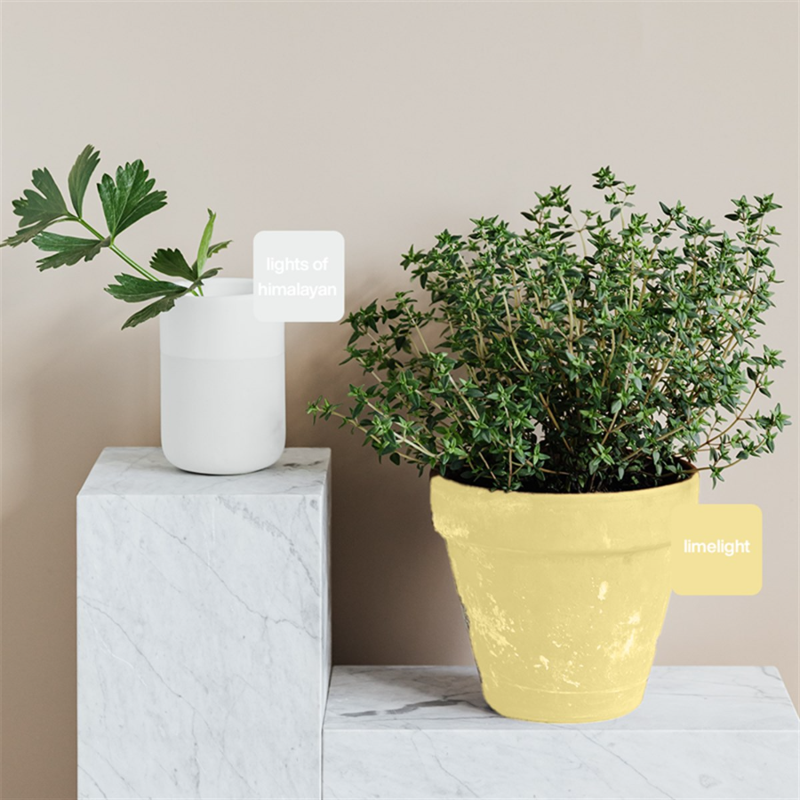 Limelight Multisurface 500 ml