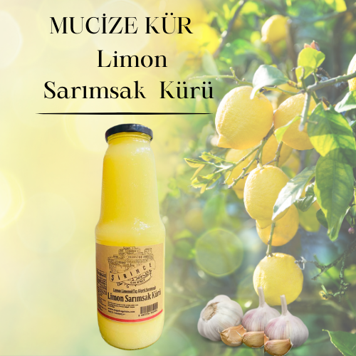 LİMON SARIMSAK KÜRÜ -1