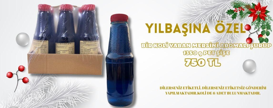 YILBAŞI KAMPANYASI PET ŞİŞE