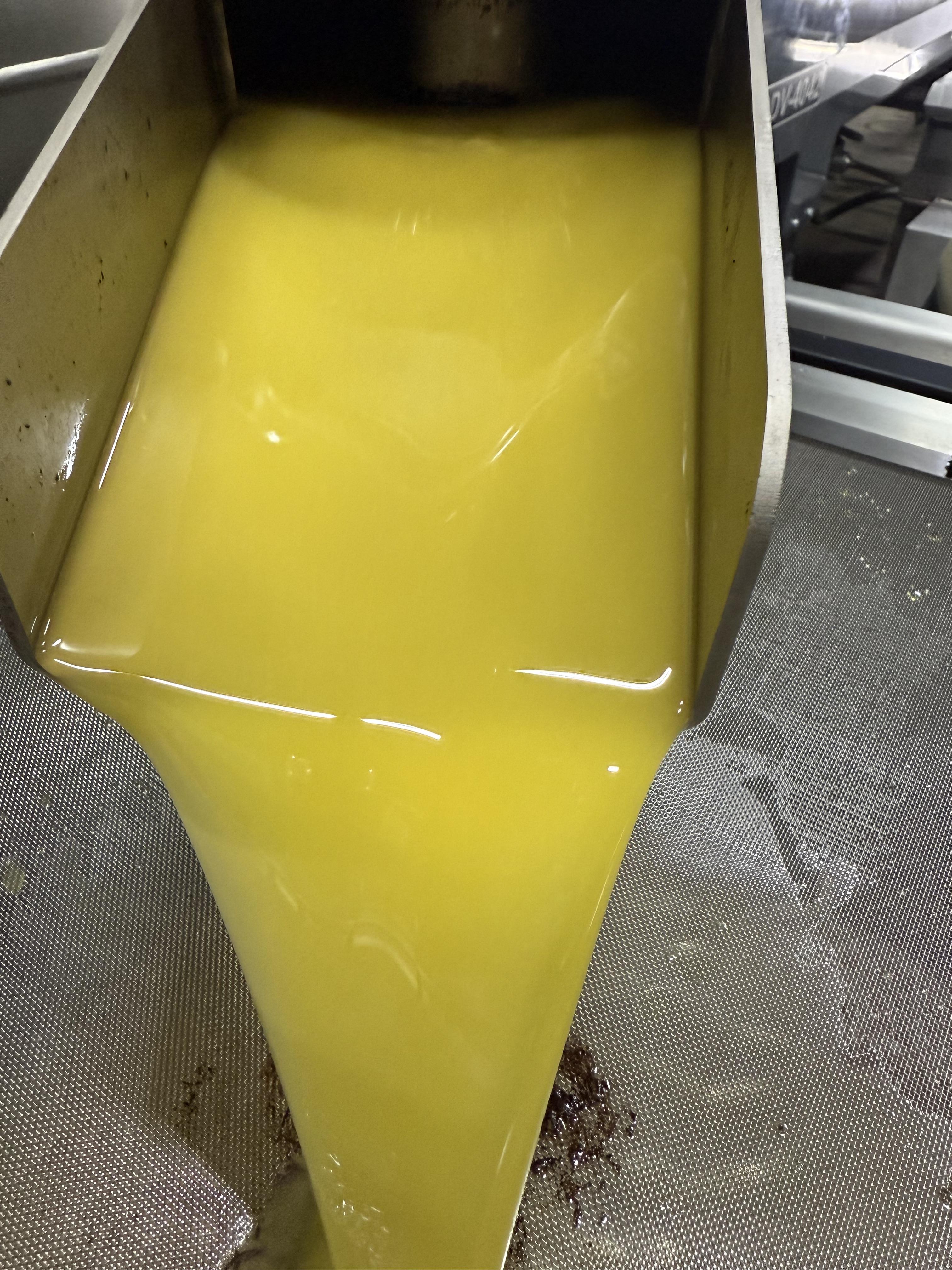 5 litre 0.3 Dizem içimlik yeni Zeytin yağ