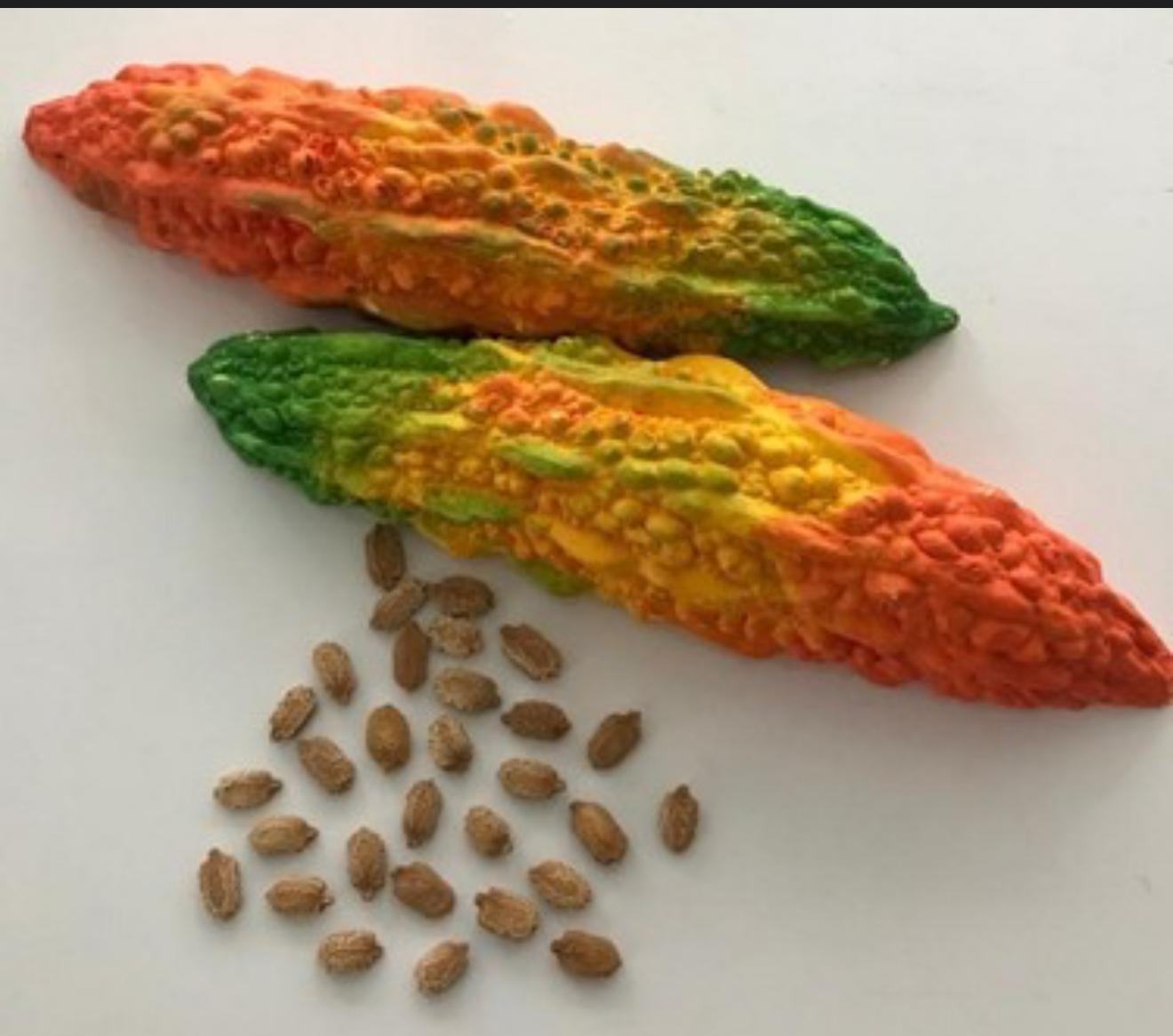 55Adet kudret Narı tohumu