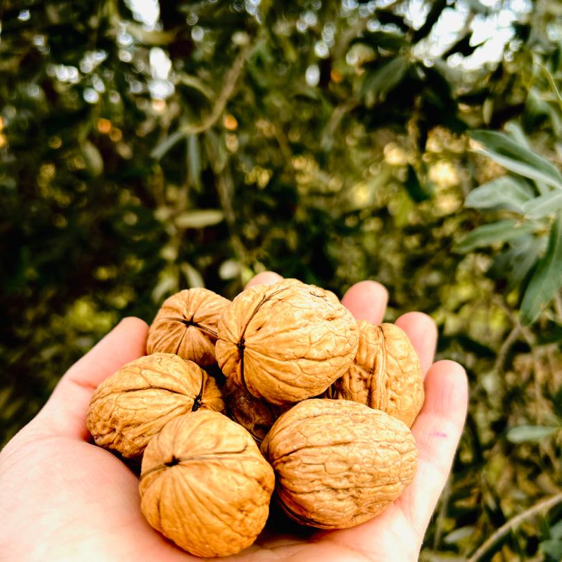 1 KG İnce Kabuklu İçi Beyaz Ceviz