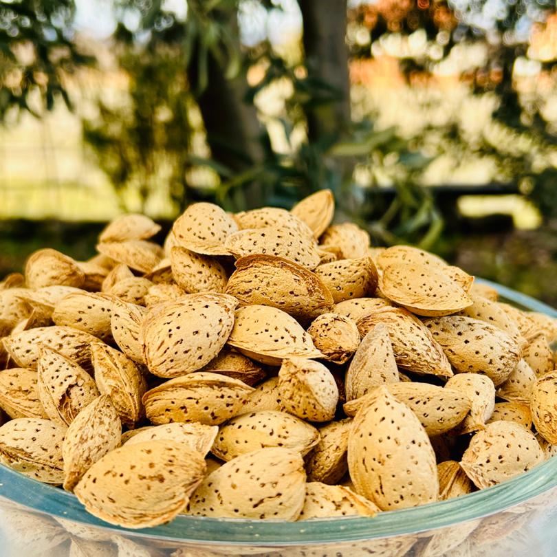 EL ile Kırılabilen Tatlı Çıtır Badem 500 GR