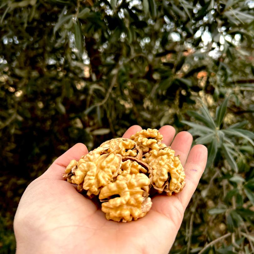 5 KG İnce Kabuklu İçi Beyaz Ceviz