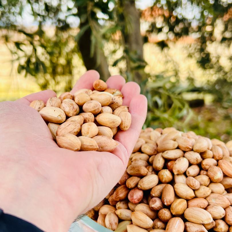 Çiğ Fıstık 500 gr