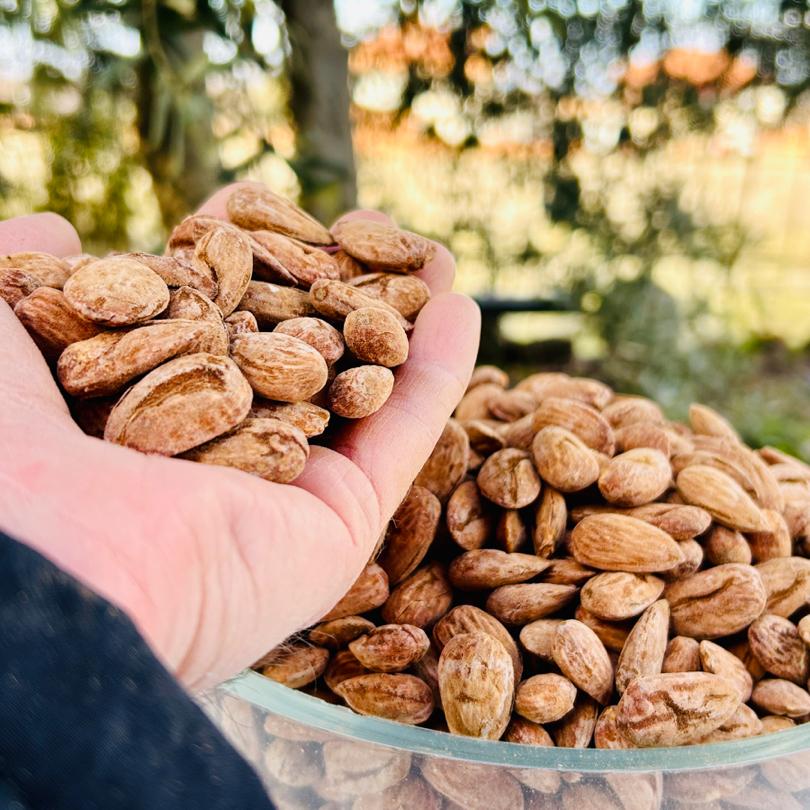 Kavrulmuş Badem içi 500 gr