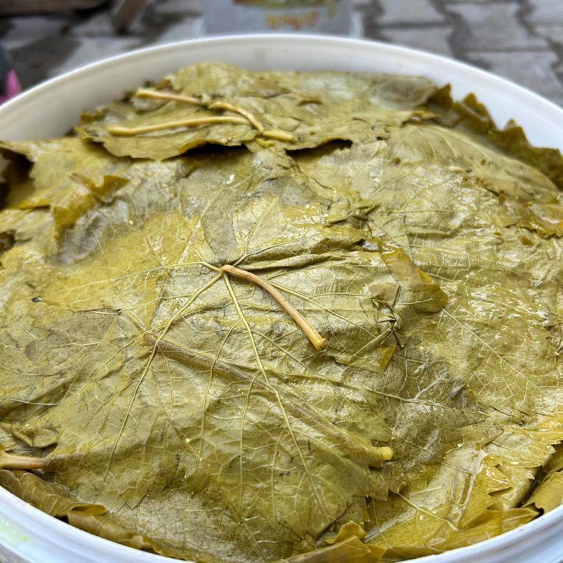 Salamura Yaprak 1 KG