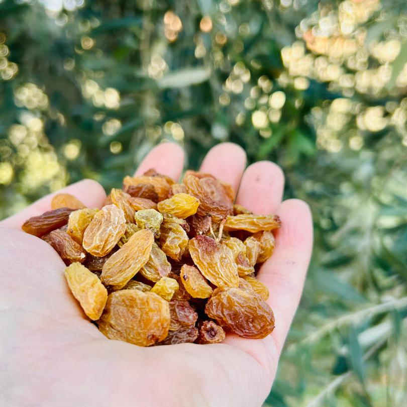 Çekirdeksiz Üzüm 3 kg