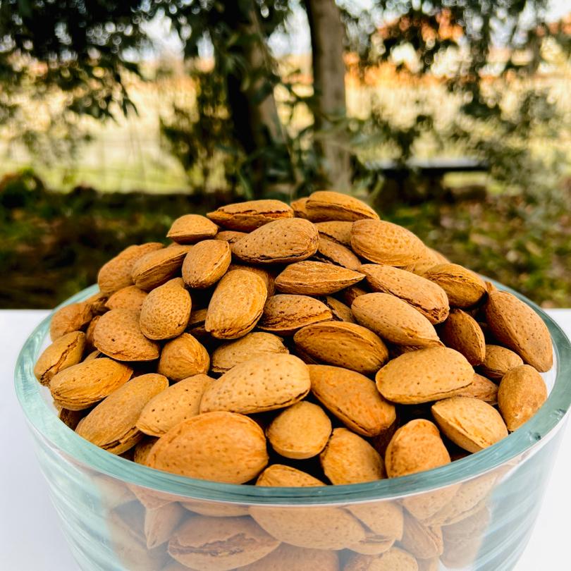 10 KG Karışık Diş Badem ve Sert Badem