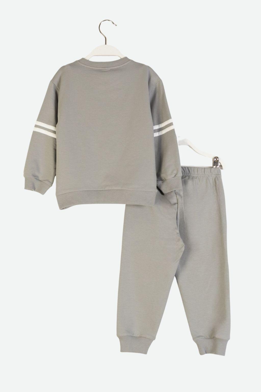 Erkek Bebek 9-36 Ay İkili Gri Takım