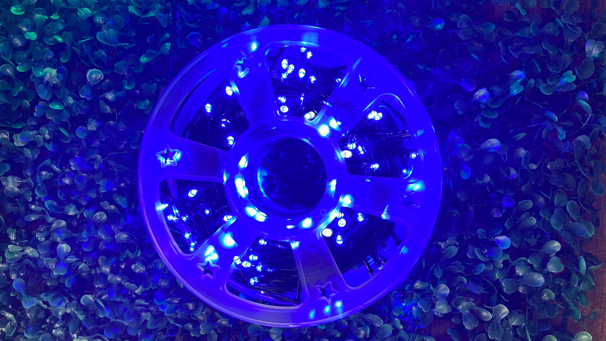 50 Metre İp Led Siyah Kablo Mavi Işık Çakarlı (Filaşlı) 240 Led Işık Dekor Süsleme Aydınlatma