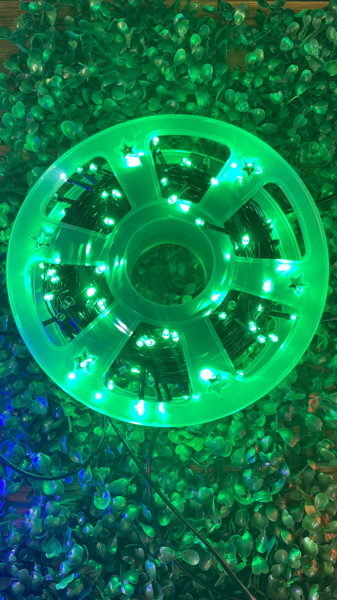 50 Metre İp Led Siyah Kablo Yeşil Işık Çakarlı (Filaşlı) 240 Led Işık Dekor Süsleme Aydınlatma