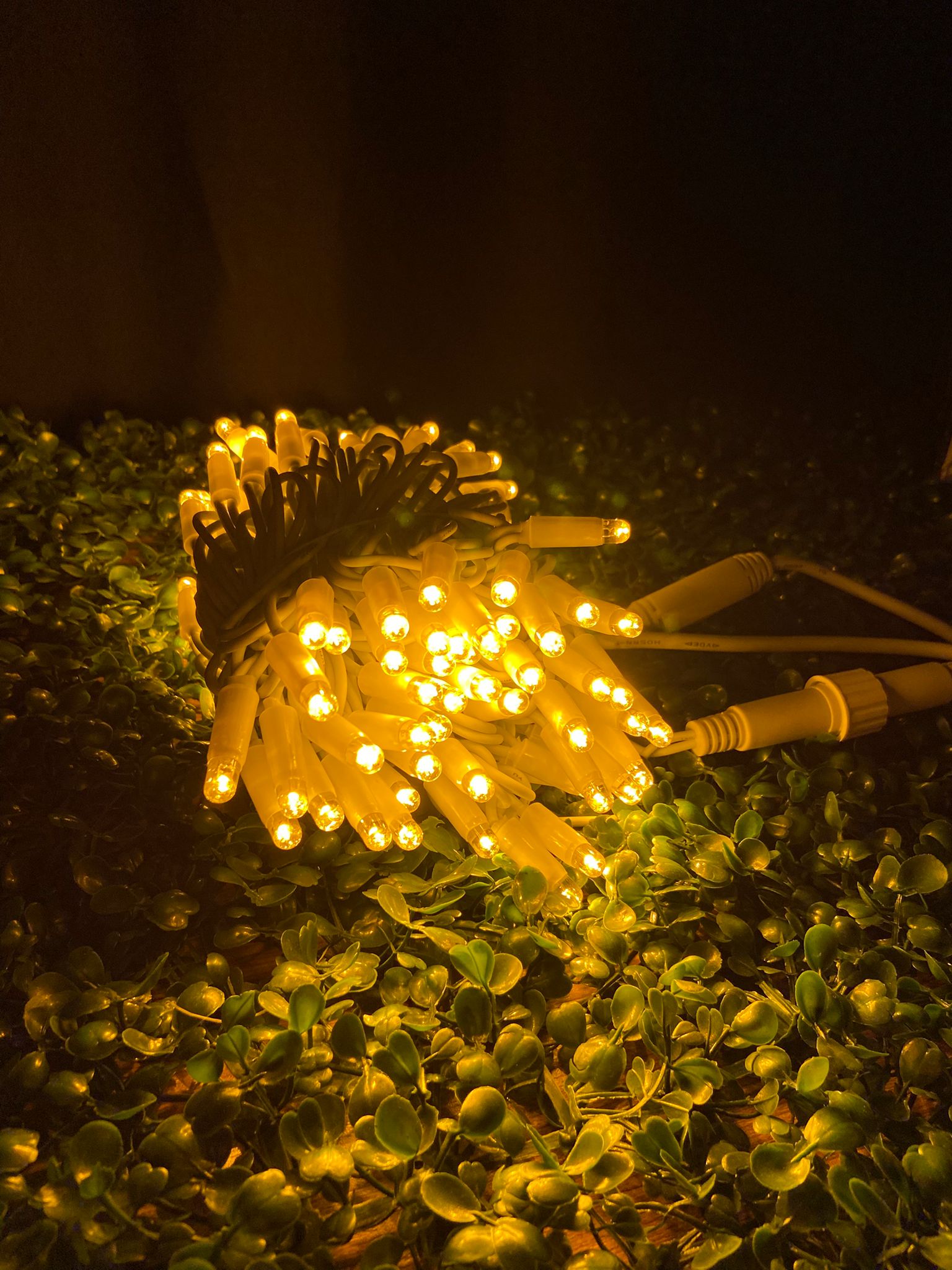 Dış Mekan 10 Metre 100 Led IP65 Su Geçirmez İp Led Eklenebilir Fişli