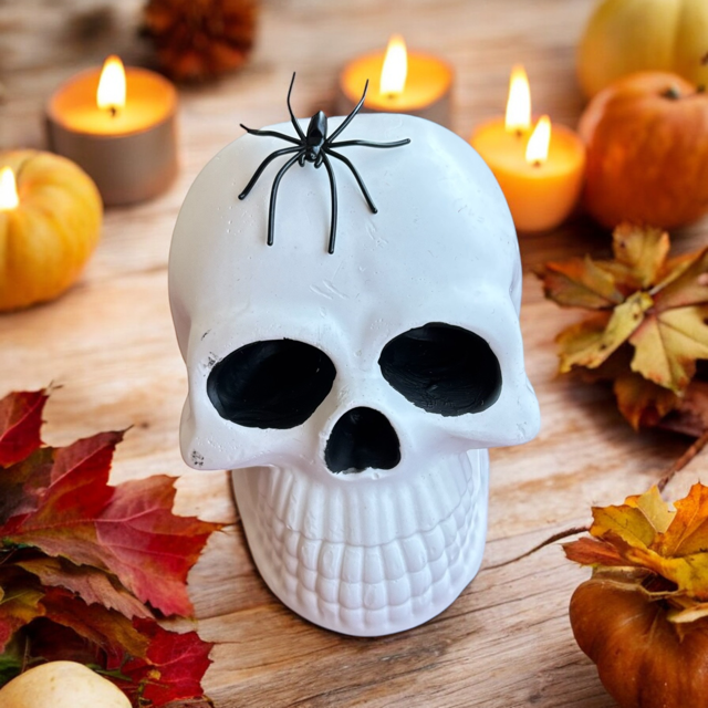 Örümcekli Kurukafa Masaüstü Dekoru