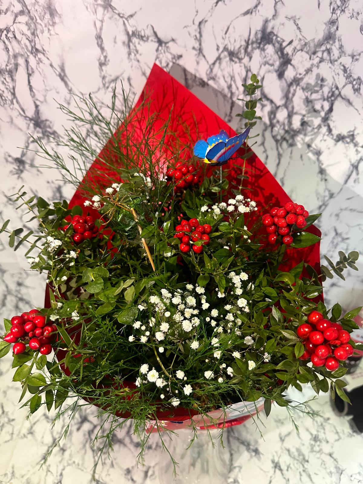 Cipso ve kokina buketi