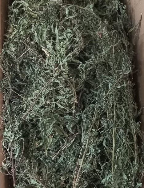 Fırsat Kapısı YAPIŞKAN ANDIZ OTU 150 GR