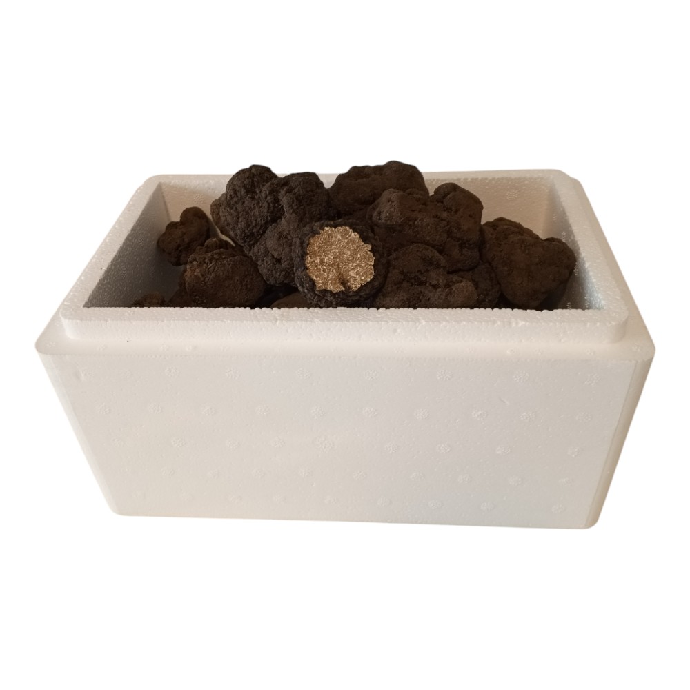 Taze Siyah Trüf Mantarı 20 g – 2. Boy (10–15 g)