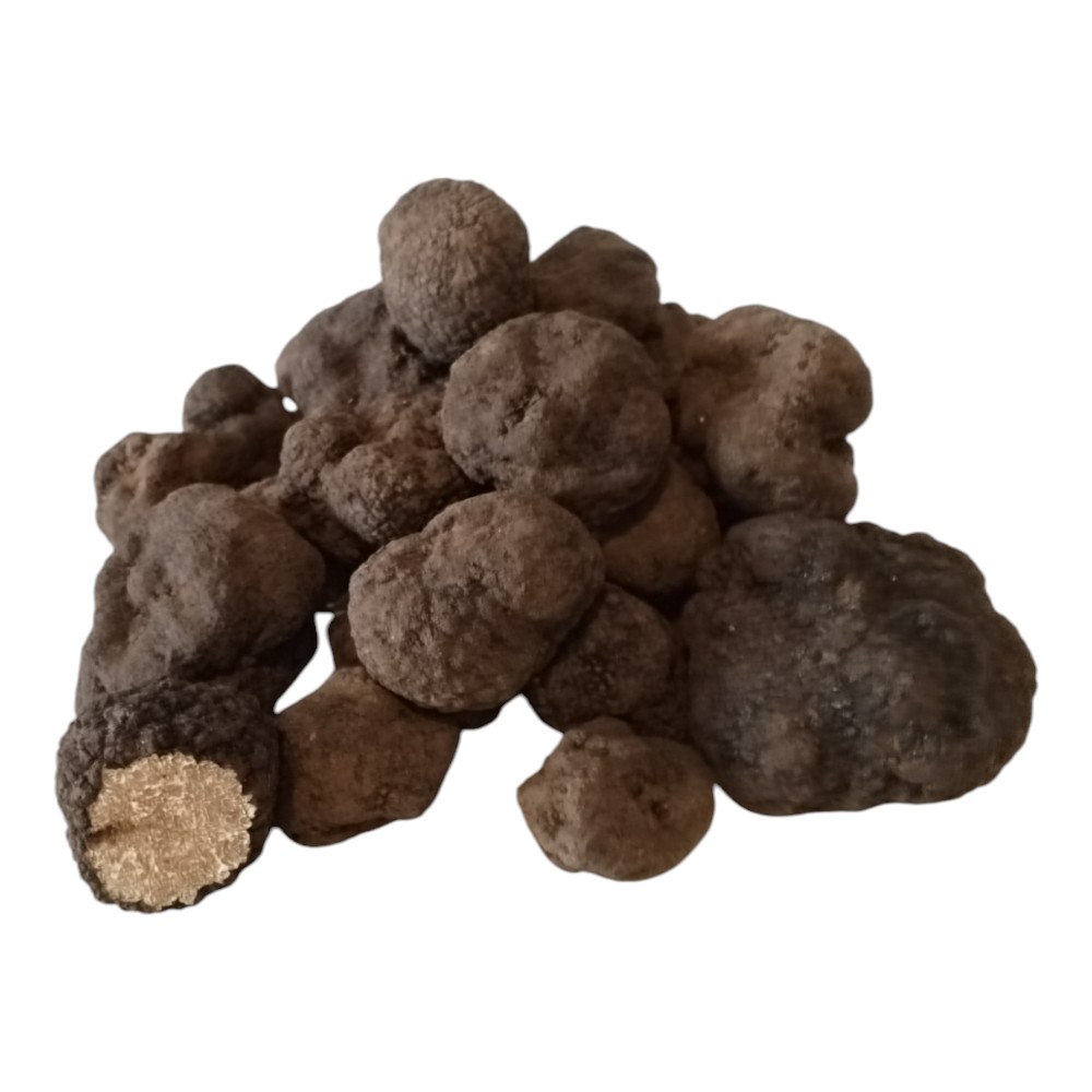 Taze Siyah Trüf Mantarı 100g