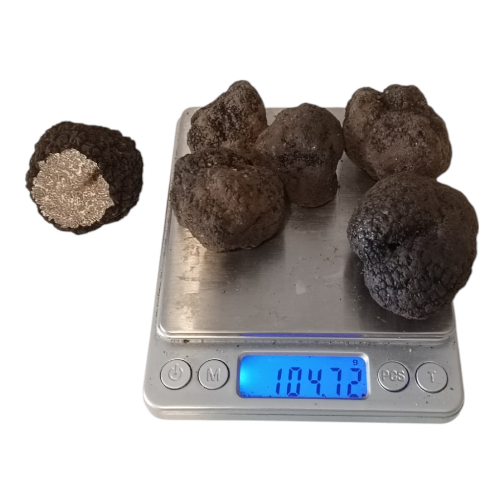 Taze Siyah Trüf Mantarı 100g