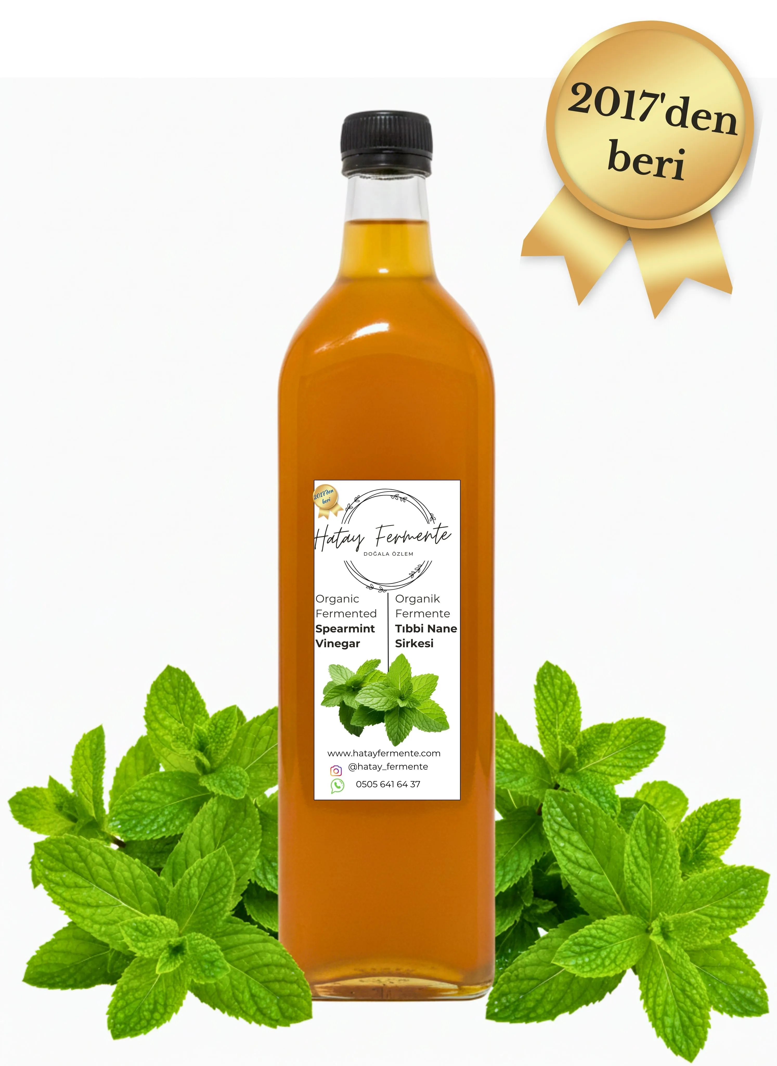 TIBBİ NANE SİRKESİ 500 ML