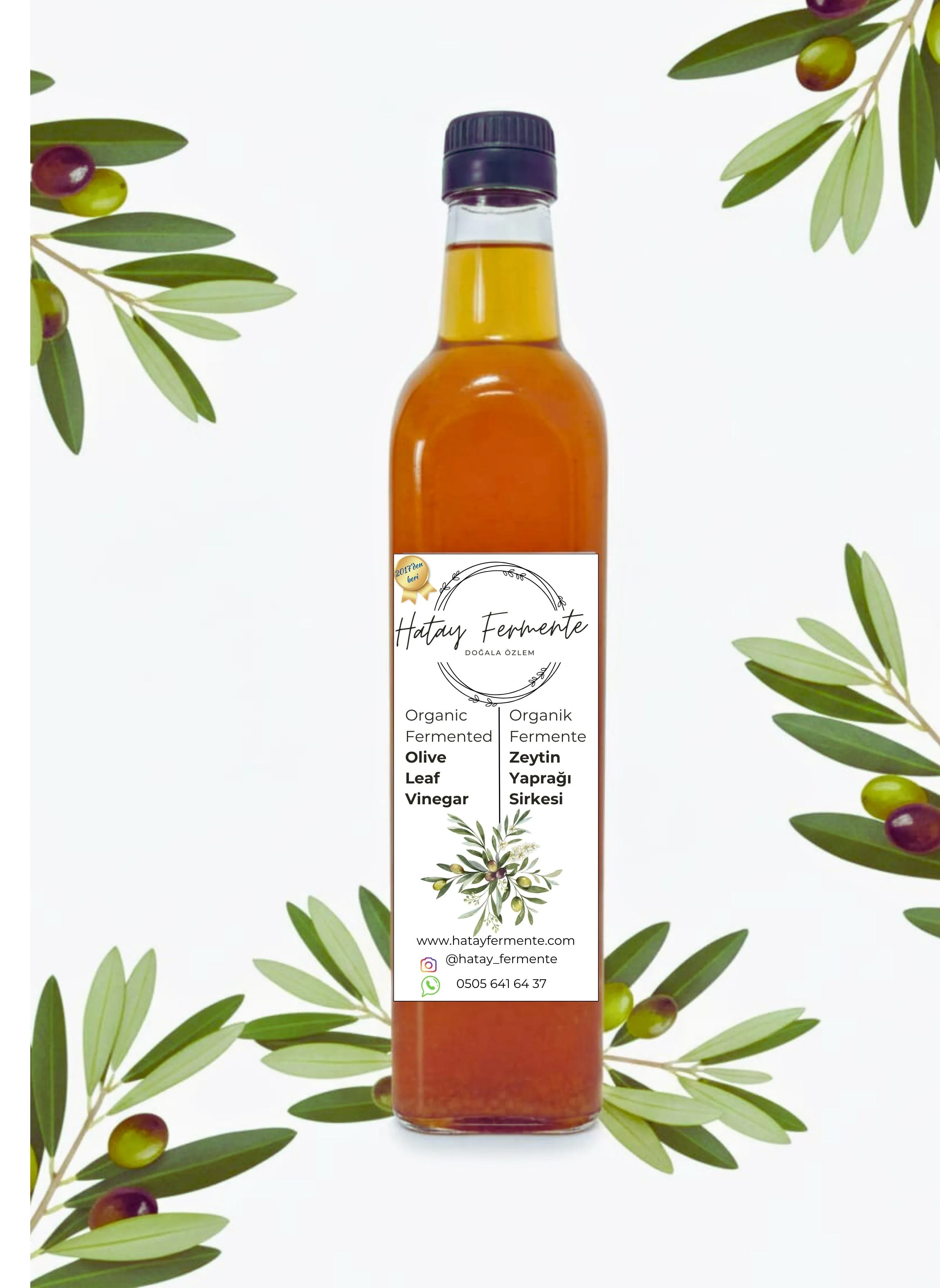 ZEYTİN YAPRAĞI SİRKESİ 500 ML