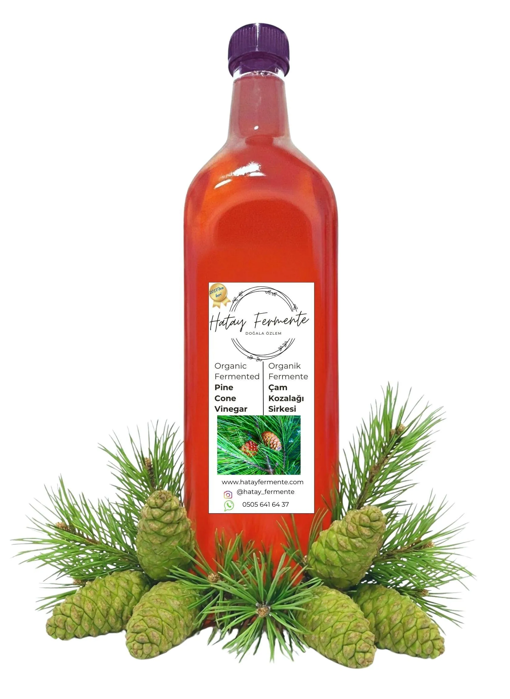 ÇAM KOZALAĞI SİRKESİ 500 ML