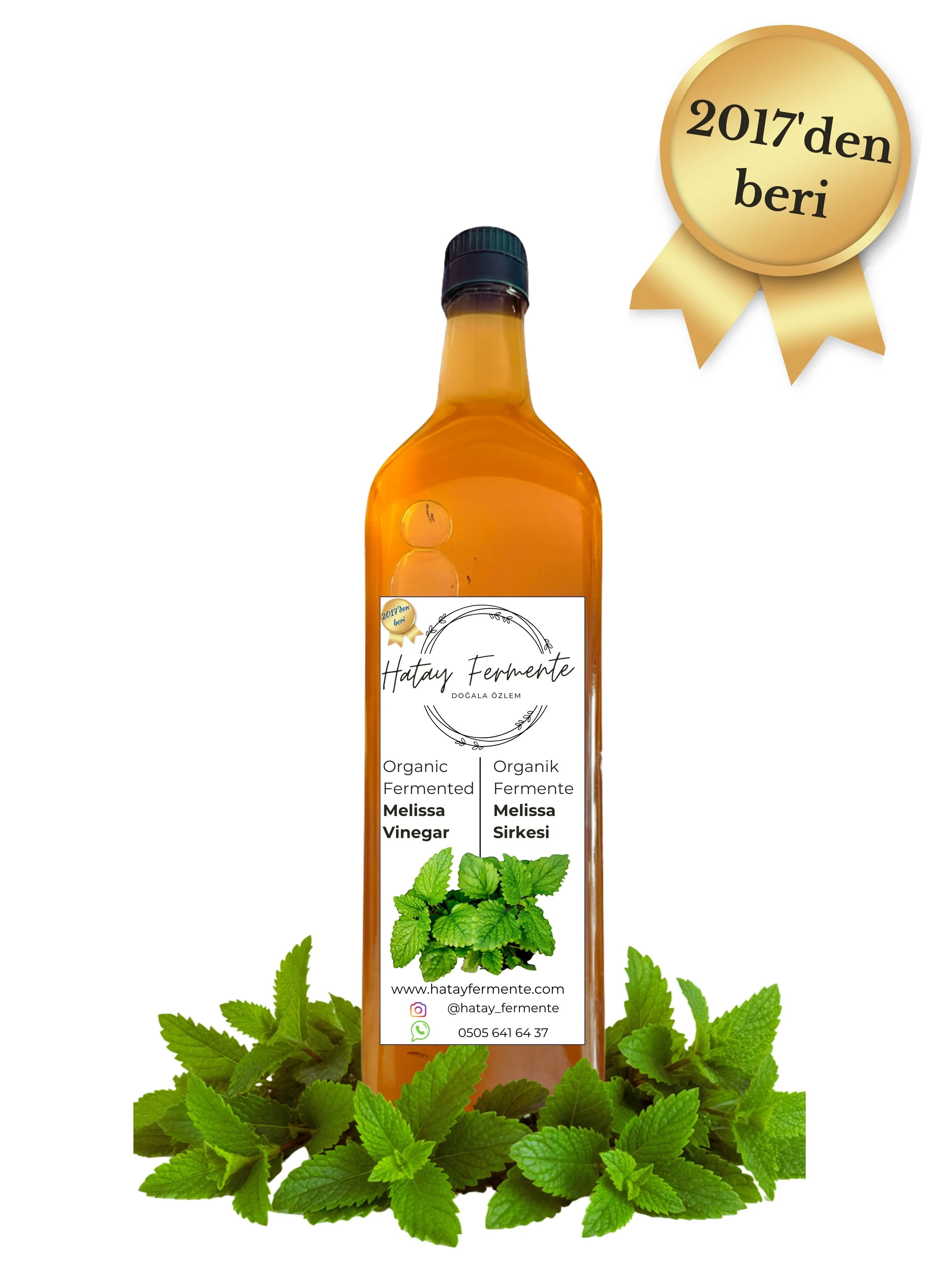 MELİSA (OĞUL OTU) SİRKESİ 500 ML