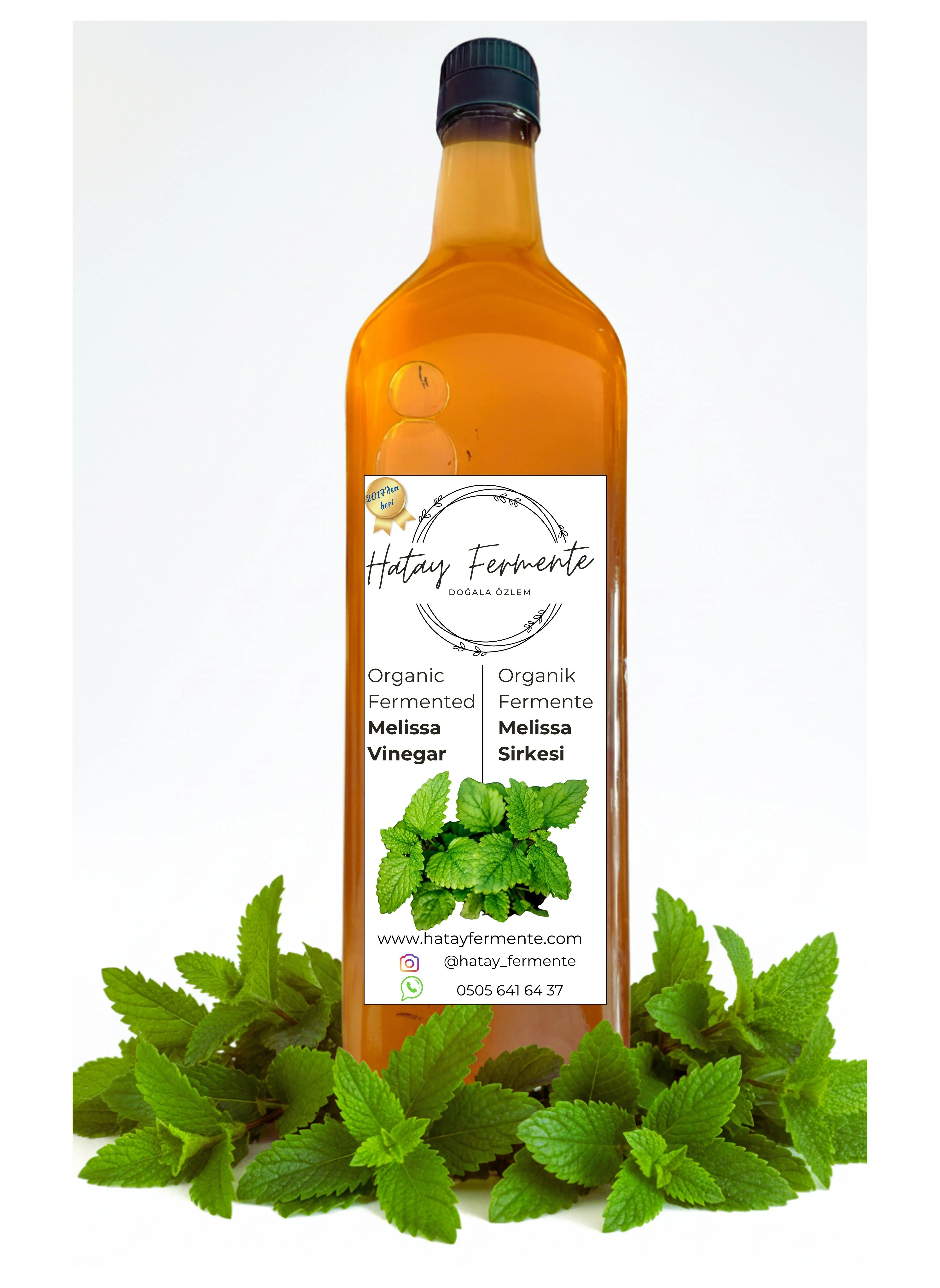MELİSA (OĞUL OTU) SİRKESİ 1 LİTRE