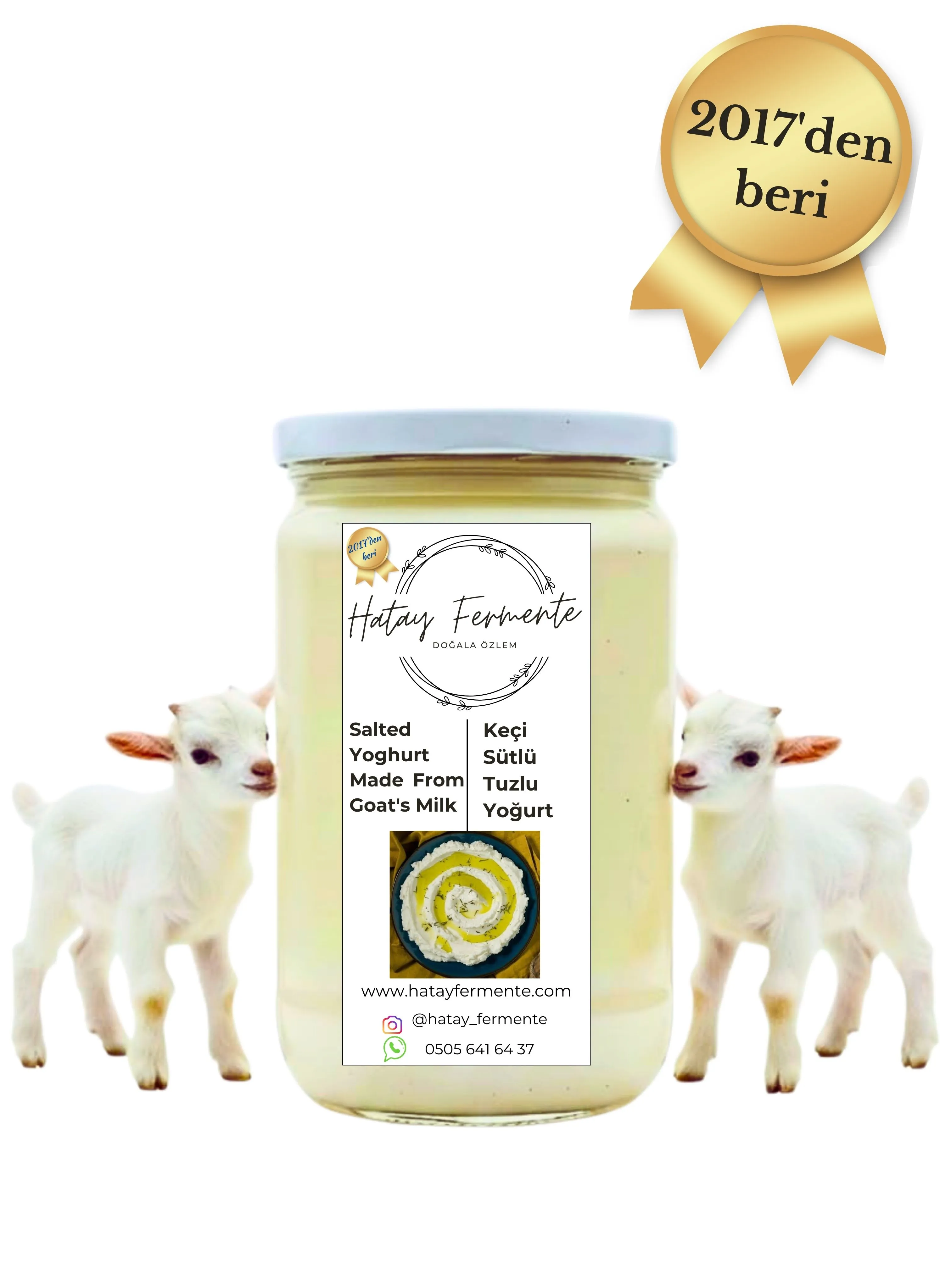 TUZLU YOĞURT  (%100 KEÇİ SÜTÜ) 1 KG