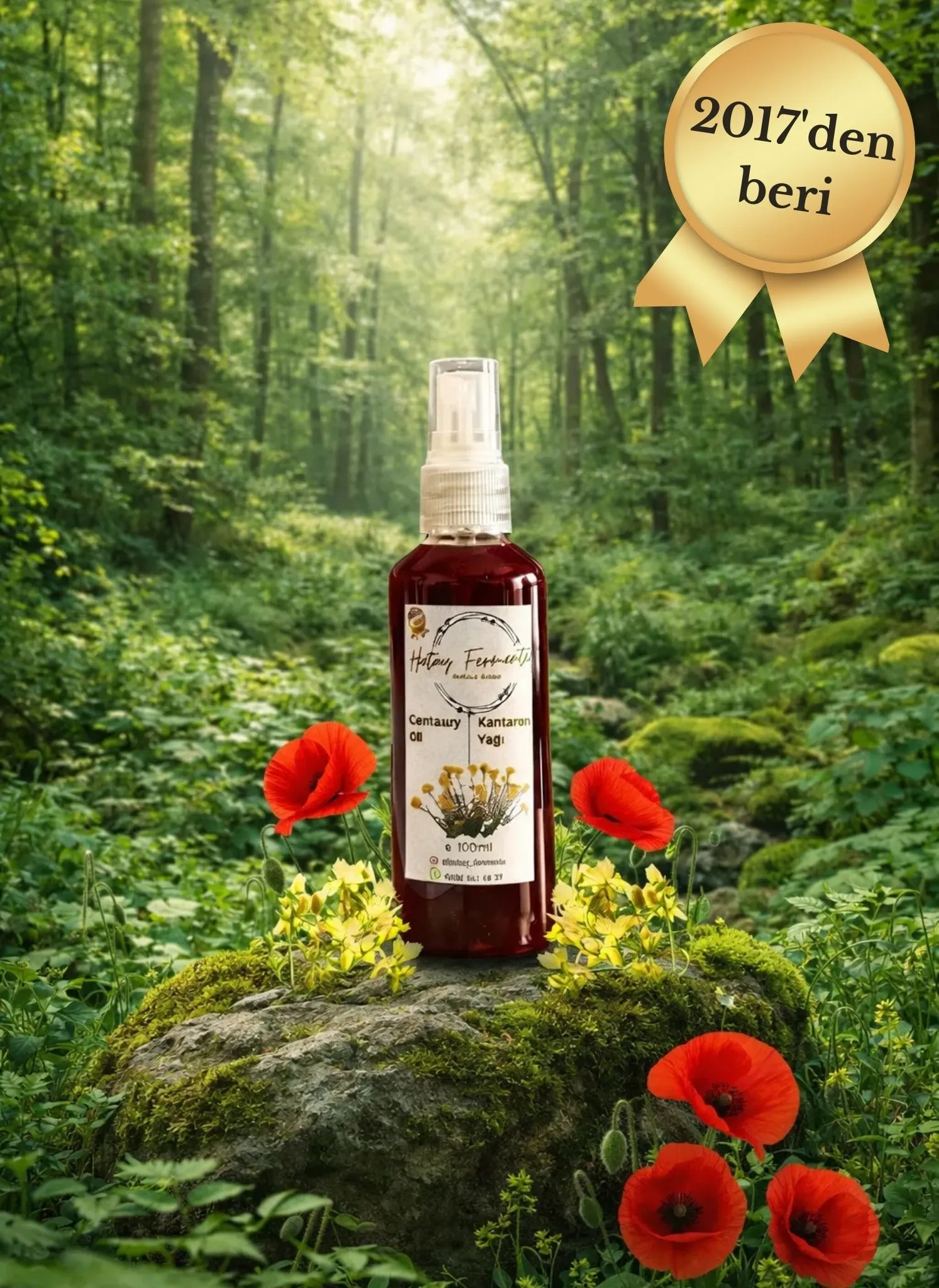 KANTARON YAĞI 100 ML