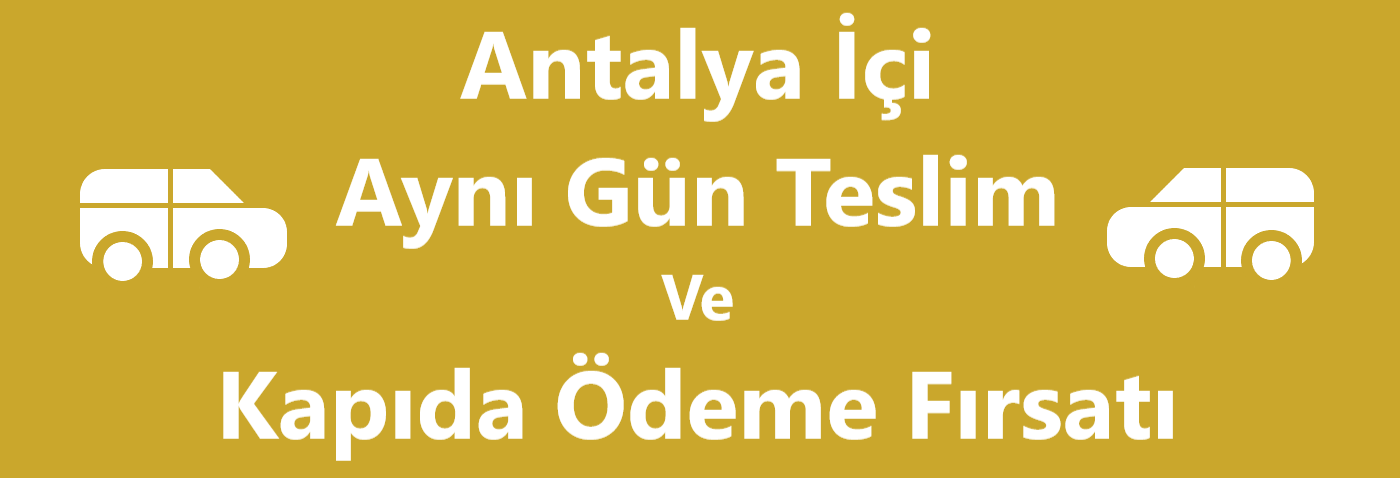 Ana slide 1