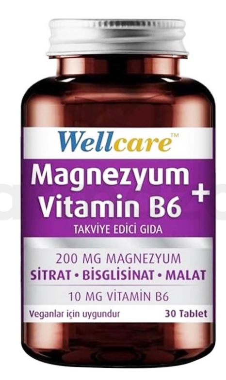 Wellcare Magnezyum + Vitamin B6 30 Tablet