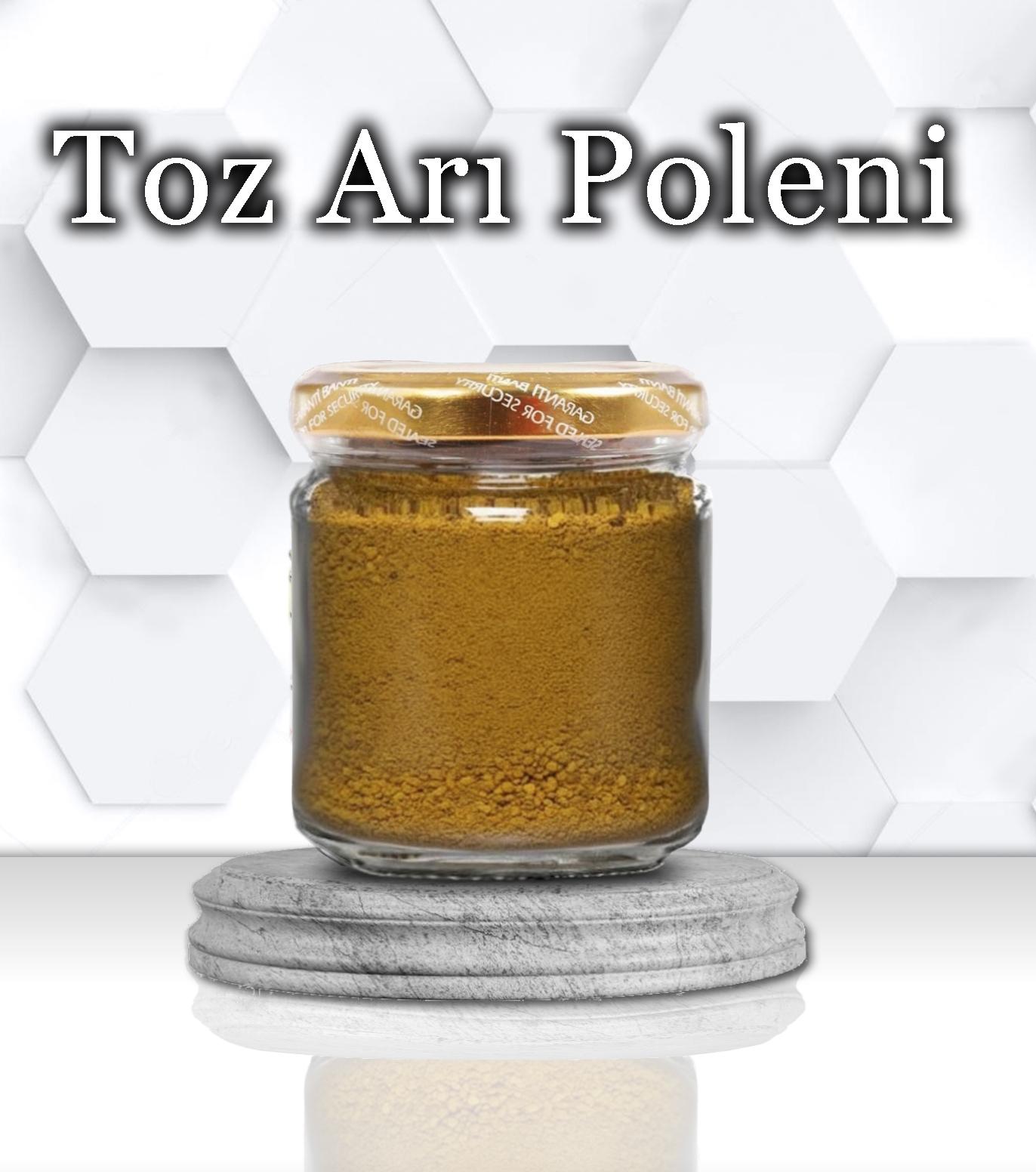 TOZ ARI POLEN 100gr