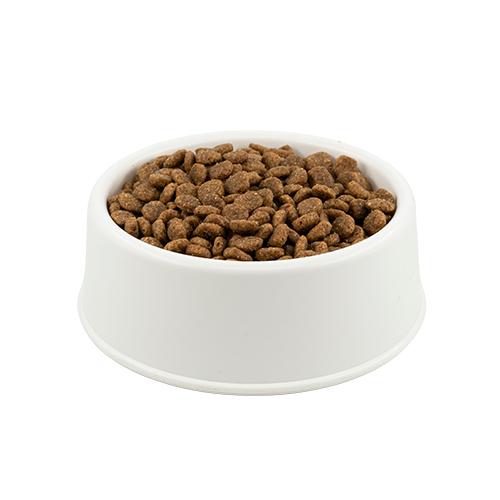 Brit Care Sensitive Hipoalerjenik Böcek Proteinli ve Ringa Balıklı Açık Yetişkin Kedi Maması 500 gr