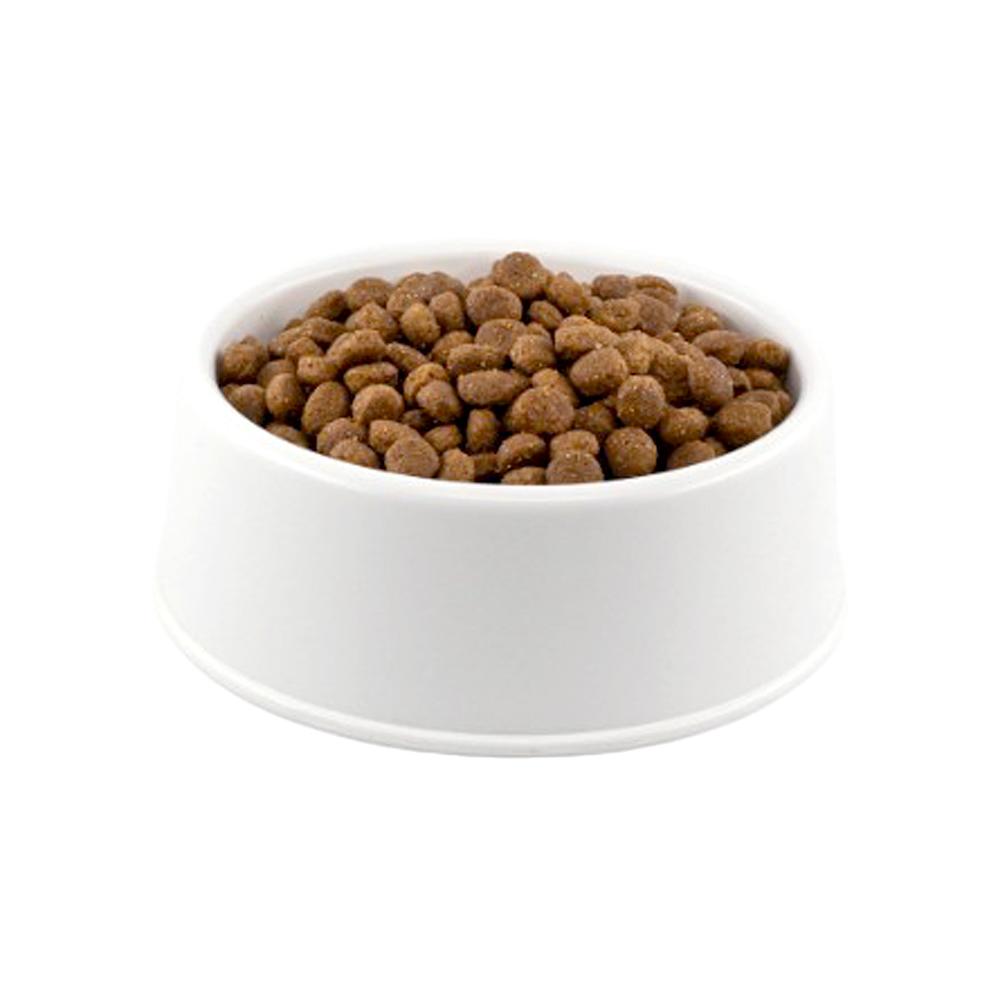 Hill's Science Plan Kuzu Etli Küçük Irk Açık Yavru Köpek Maması 1 KG