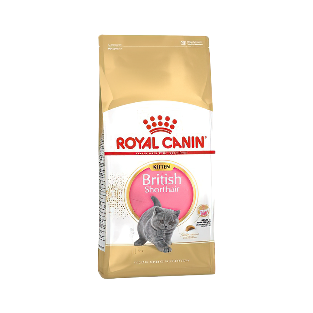 Royal Canin British Shorthair Yavru Kedi Maması (2 kg)