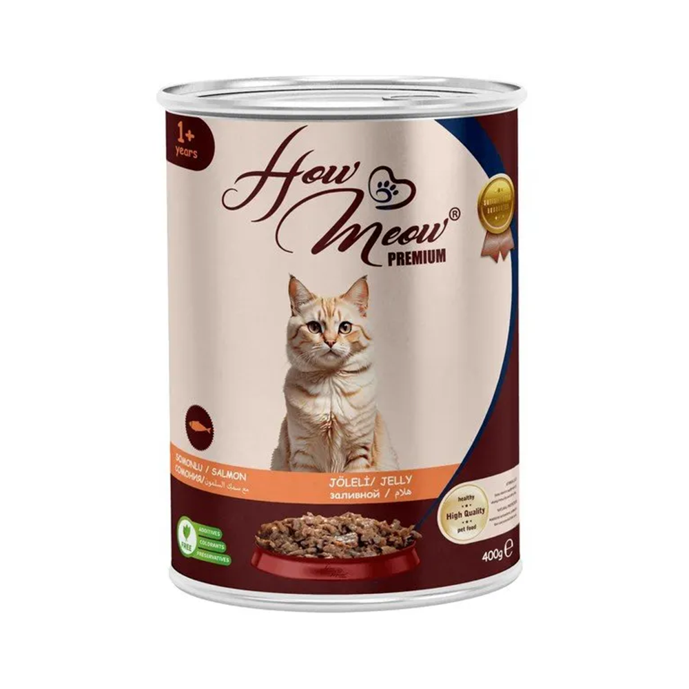 How Meow Somonlu Yetişkin Kedi Yaş Maması (400 g)