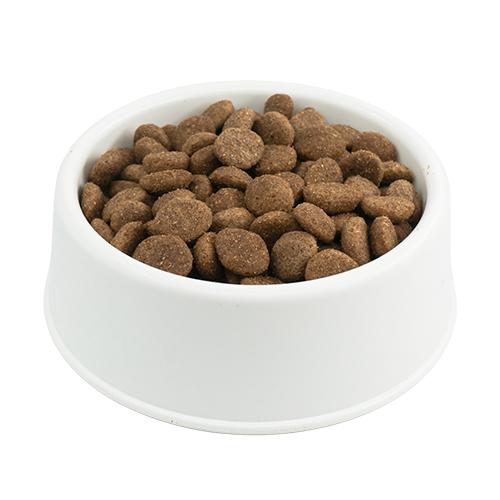 Pro Plan Mini Somonlu Küçük Irk Köpek Maması 1 KG