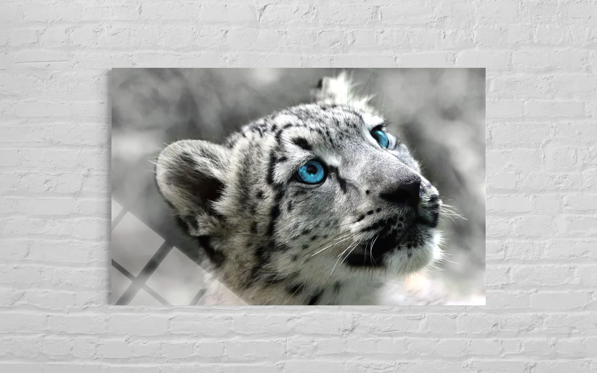 Kar Leoparı Cam Tablo