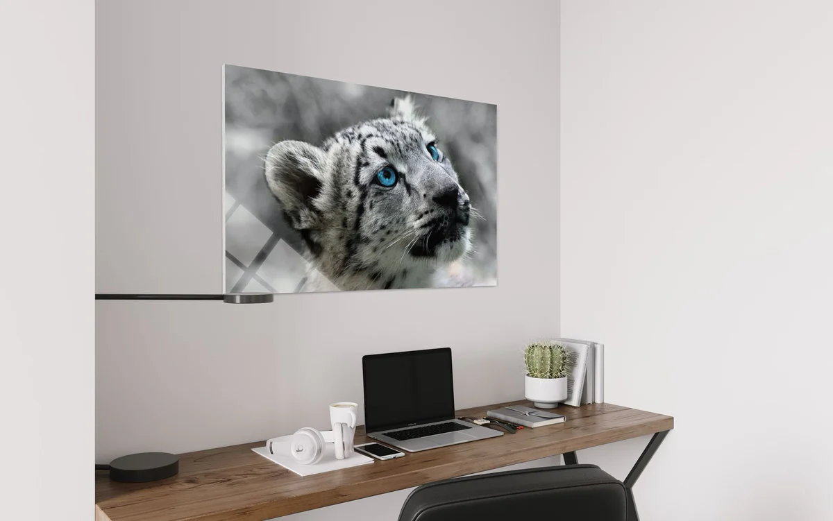 Kar Leoparı Cam Tablo